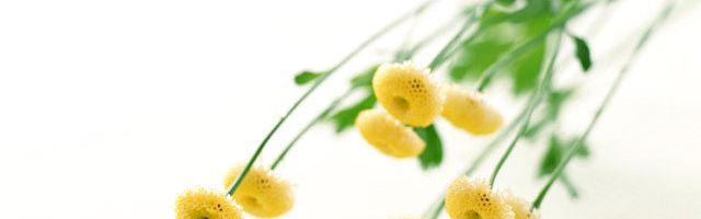 自分の味方について